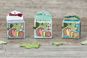 Knuffige Box „Herbstfreuden“ mit Stampen' Up! Produkten